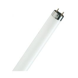 Лампа люминисц. Osram L-36w/10-765