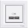 Розетка USB Schneider Electric белая ASFORA EPH2700221
